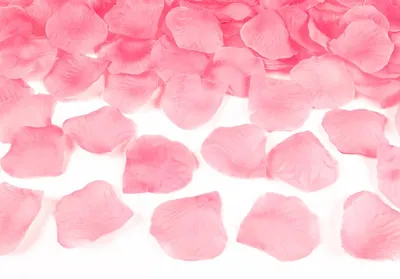 Produktbild von 500x Rosenblätter im Beutel, hellrosa