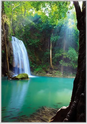 Produktbild von Wallario Wandbild Wasserfall im Wald am See  Idylle in Thailand, Größe: 70,30 x 100,30 cm, Poster mit weißem Kunststoffrahmen