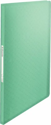 Image de Livret de présentation Esselte Colour'Ice A4 PP avec 40 pochettes vert