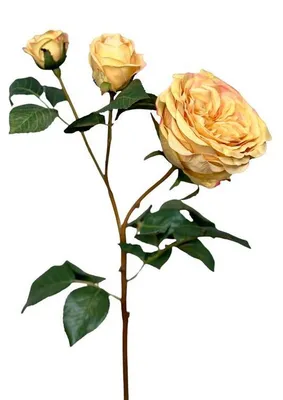 Produktbild von Kunstblume Rose 55 cm, ockergelb