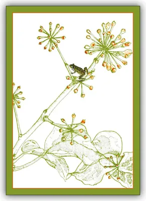 Produktbild von 5x Grußkarten, Klappkarten mit Frosch Motiv für Garten Freunde, DIN A6 gefaltet, inkl. Umschlag - edle Klappkarte für Sie gefertigt