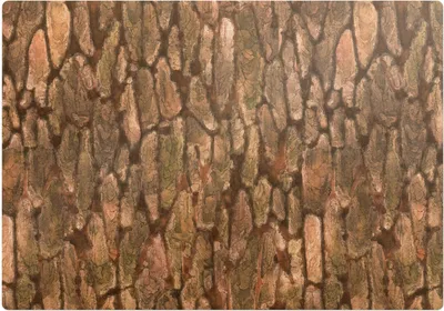 Produktbild von Natürliche Baumrinde – Bodenschutzmatte – Stuhlunterlage 100x70 cm – Rutschfest – Hartbodenmatte