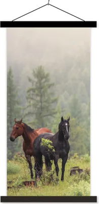 Produktbild von MuchoWow® Textilposter Pferde - Wald - Nebel 90x180 cm mit schwarzem Rahmen - Dekoration Wohnzimmer