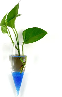 Produktbild von Hydroponische Vase Blume Wasser Tropfen Herz Form Transparente Wand Hanging Glasblume Vase Terrarium Wand Fischtank Aquarium Behälter Wohnkultur-D