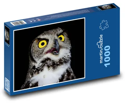 Obrázek produktu pro Puzzle 1000 Sova se žlutýma očima - martinpuzzle