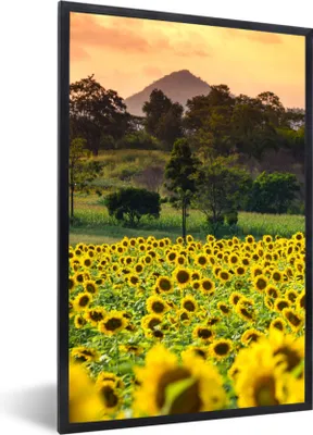 Produktbild von MuchoWow® Gerahmtes Poster Sonnenblume - Natur - Berg 60x90 cm - Poster mit Schwarzem Bilderrahmen Wandposter Rahmen Foto Bilder - Kunst