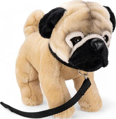 A plush pug dog with a leash, standing against a white background.