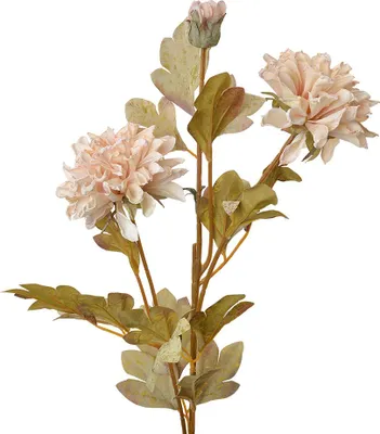 Obrázek produktu pro Clayre & Eef Umělé květiny 68 cm béžová plastová