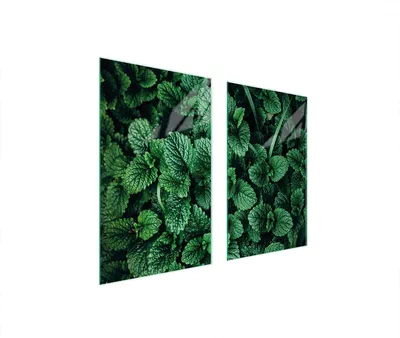 Produktbild von Herdabdeckplatten 2 teilig 75x52 Glaskeramikkochfeld Abdeckung Glas Schneidebrett Zitronenmelisse Grün