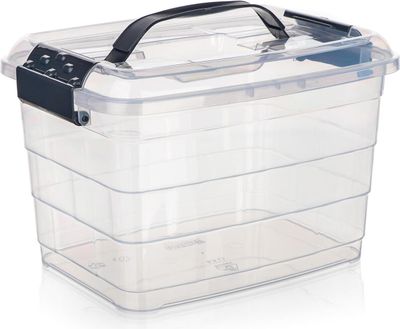 Box úložný VILARD 8,5 l, 31x24x21cm, veko, klip, madlo, PH DYM/TRA