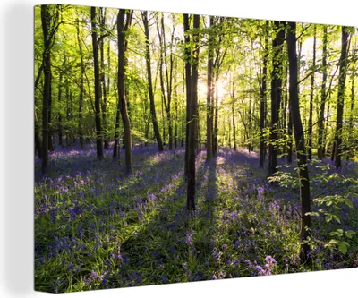 Produktbild von OneMillionCanvasses® - Leinwandbilder - 150x100 cm, Wald - Blumen - Lavendel, Wandbilder Kunstdruck Wanddekoration