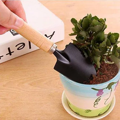 Immagine prodotto di Set da giardino piccolo, 3 pezzi, attrezzi da giardino, piante
