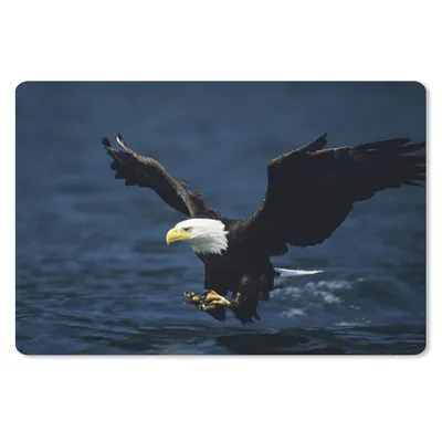 Produktbild von MuchoWow® Mauspad Mousepad Adler - Nahaufnahme - Wasser 27x18 cm - Mousepads - Maus Mat - Pad - Mausunterlage - Büroartikel - Desk Matten