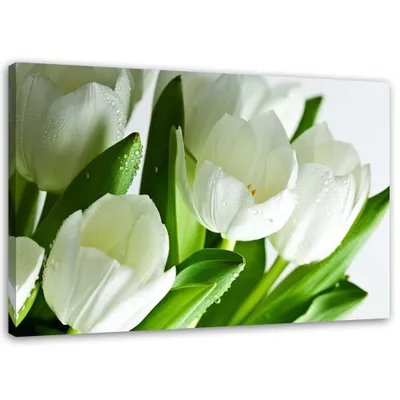 Immagine prodotto di Quadro su tela tulipani bianchi 100x70 cm Feeby verde quadro da parete pronto per essere appeso