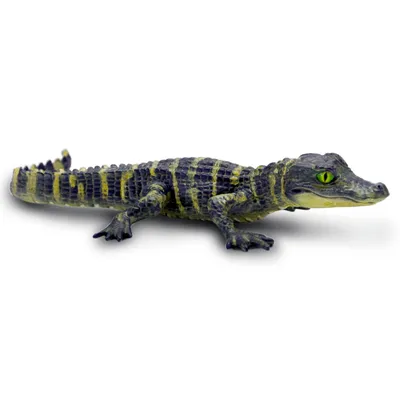 Immagine prodotto di Safari Ltd S101073 - Cucciolo di alligatore (Novità 2022)
