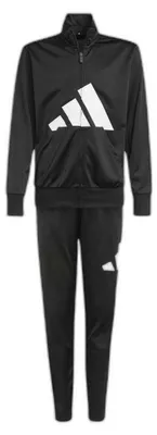 Produktbild von adidas Unisex Kinder Essentials Big Logo Climacool Track Suit, black/white, 15-1