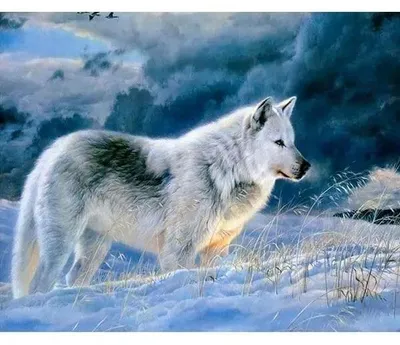 Obrázok produktu pre Diamantová mozaika 5D - Wolf 40x30cm
