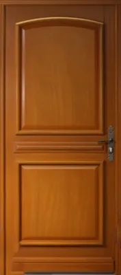 Image de Porte d'entree Bois Pleine, Garnier, H215 x L90 p.Gauche Cote Tableau