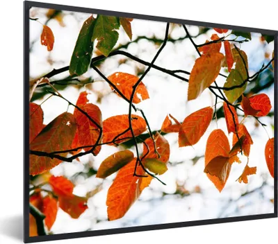 Produktbild von MuchoWow® Gerahmtes Poster Herbst - Blätter - Landleben - Jahreszeiten 80x60 cm - Poster mit Schwarzem Bilderrahmen Wandposter Rahmen Foto Bilder - Schwarzem - Mit Gestell