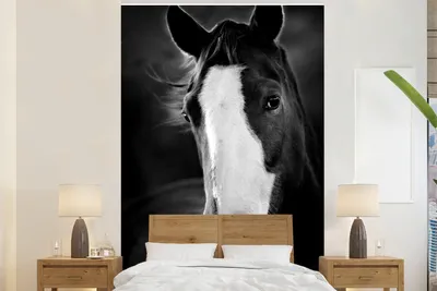 Produktbild von MuchoWow® Fototapete für Wohnzimmer oder Schlafzimmer Wandtapete Vinyl Motivtapete Pferd - Kopf - Licht - 225x350 cm - Schlafzimmer tapete