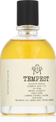 Obrázek produktu pro Moudon Tempest Extrait de Parfum 100 ml UNISEX