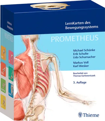 Produktbild von PROMETHEUS LernKarten des Bewegungssystems