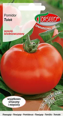 Produktbild von Samen von Tolek große Tomate 0.1g - Torseed