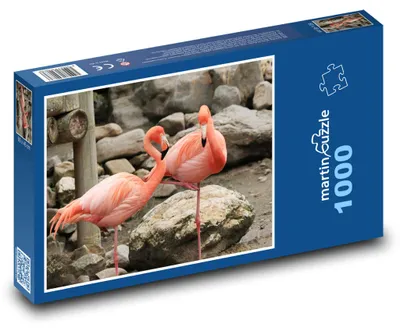 Obrázok produktu pre martinpuzzle - Puzzle 1000 - Plamenák - vták