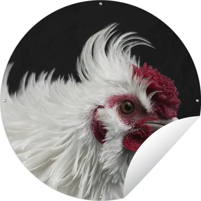 Produktbild von MuchoWow® Gartenposter Outdoor-Poster Rund Huhn - Vogel - Schwarz Ø 120 cm Gartendeko Rundes Poster draußen