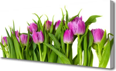 Produktbild von Tulup Leinwand-Bilder 125x50 Wandbild Canvas Kunstdruck Tulpen Pflanzen
