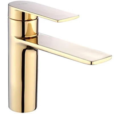 A close-up studio shot of a modern gold and silver faucet.