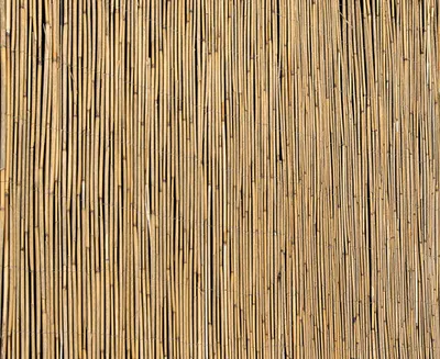 Produktbild von Sichtschutzmatte Schilfrohr 600 x 180 cm