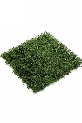 Produktbild von Emerald Kunstgras Buchsbaum Matte 4 Stk. Grün 50x50 cm 417980