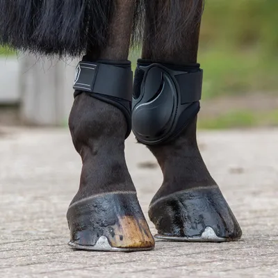 Produktbild von QHP Streichkappen Champ, Farbe:Schwarz, Größe:Pony