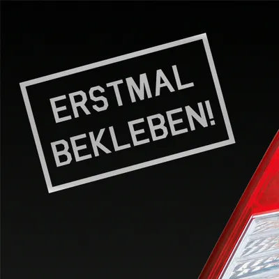 Produktbild von Auto Aufkleber Reingeguckt! Verarscht Prank Lustig 16x10 cm Silber Sticker Heckscheibenaufkleber