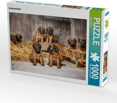 Produktbild von CALVENDO Puzzle Scheunenfest | 1000 Teile Lege-Größe 64x48cm Foto-Puzzle für glückliche Stunden