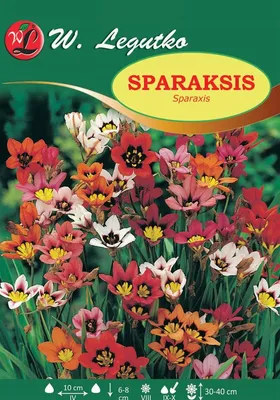 Zdjęcie produktu dla Sparaksis Mieszanka Cebul W. Legutko