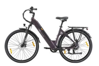 Produktbild von TTGO C3 SE E-Bike | 28" Aluminiumlegierung | Shimano 7-Gang | 36V20AH Akku | 120KM Reichweite | 125 kg Max. Belastung
