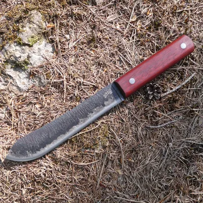 Image de Couteau de ceinture Herbertz en bois de santal