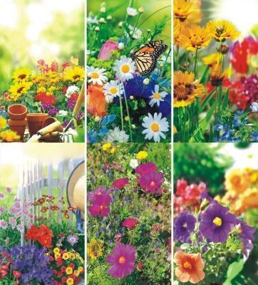 Produktbild von Glückwunschkarten 100 Stück Blanko Blumen sortiert