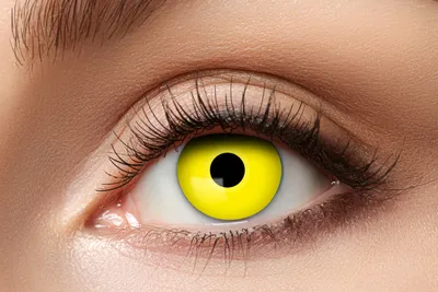 Produktbild von 3 Monatslinsen Yellow Crow Eye