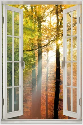 Produktbild von Wallario Wandbild mit Fenster-Illusion: Sonnenuntergang im Herbstwald, Größe: 61 x 91,5 cm, Poster mit weißem Aluminiumrahmen