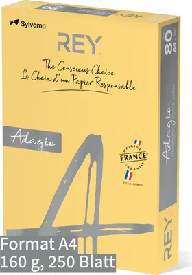 Produktbild von Kopier-Offset A4 KP4160 REYAdagio 160g maisgelb Pckg. a 250 Blatt