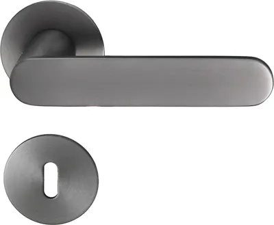 A door handle set with a flat rosette, shown against a white background.