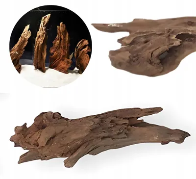 Zdjęcie produktu dla Dekoracja akwariowa – korzeń, korzeń namorzynowy, źródło taniny, rozmiar 10–15 cm