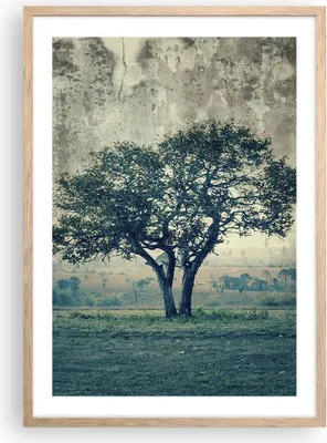 Produktbild von Gerahmtes Poster - Rahmen in heller Eiche - Baum Natur Feld - 50x70 cm - Wand Bild - Wanddeko - Wandbilder - Kunstposter - Wandposter - Bilderrahmen - Bilder - Kunstdruck - Wandbild - P2NPA50x70-3627