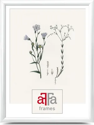 A white picture frame with a botanical illustration of flowers and plants inside. A logo is visible at the bottom center.