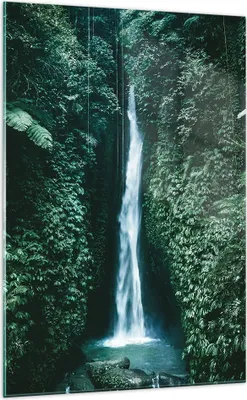 Produktbild von Bilder auf glas - Einteilig - Tropen Wasserfall Dschungel - 70x100cm - Glasbilder - Wandbilder - Bilder - Wanddekoration aus Glas - Glas Bilder - Wandbild auf Glas - GPA70x100-5103