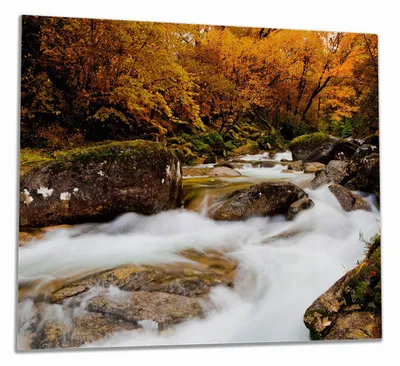 Produktbild von Wallario Herdabdeckplatte aus Glas, Größe 60 x 52 cm 1-teilig, Motiv Fließender Bach im Herbstwald