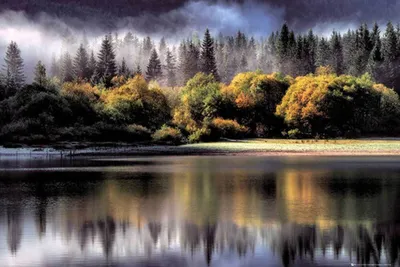 Image de Forêts - Poster - Autumn Lights